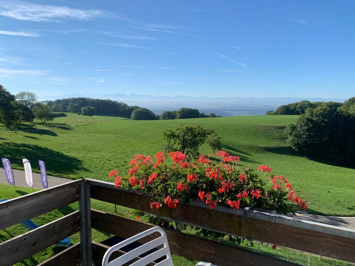 Hotel Restaurant Alpenblick Wolfisberg Bagian luar foto